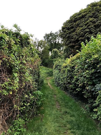 Foxley Wood, Purley