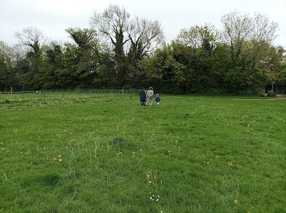 Higher Drive Recreation Ground