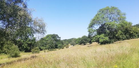 Riddlesdown Common